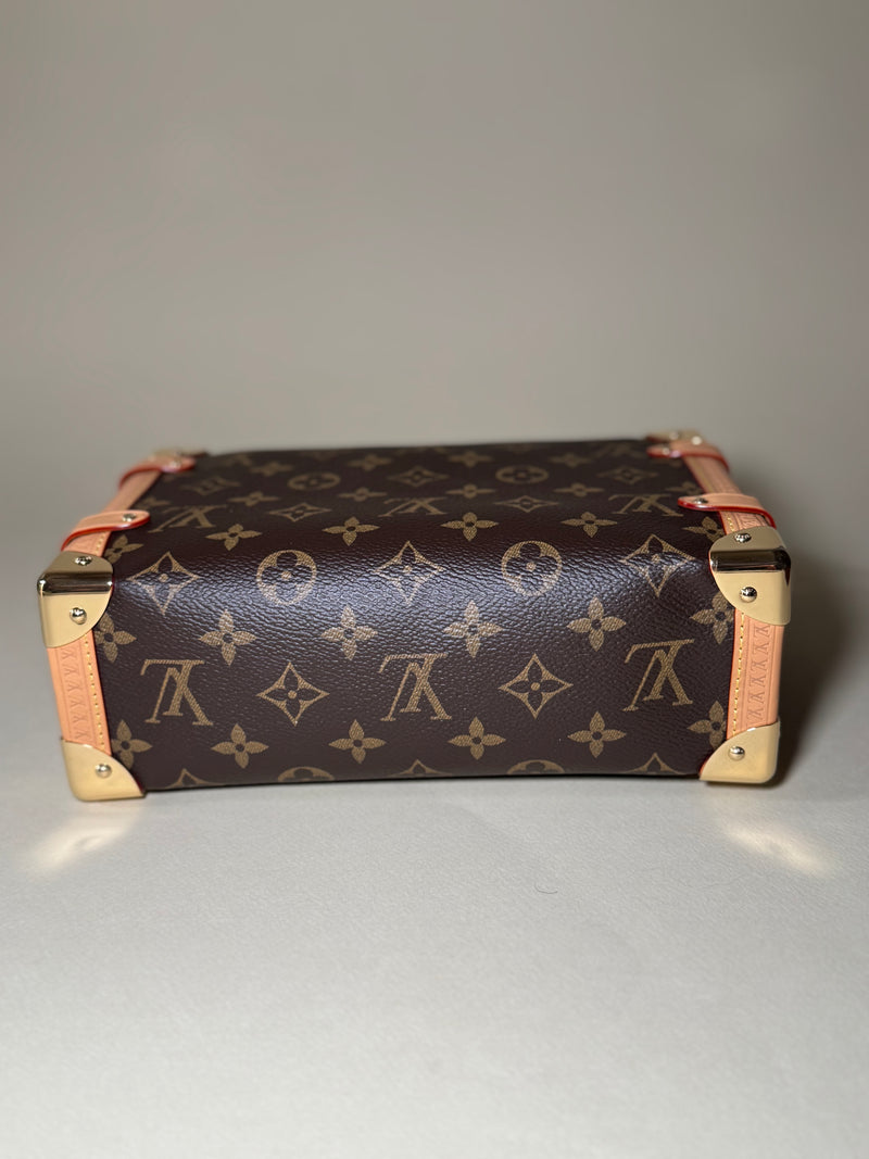 Louis Vuitton Side Trunk